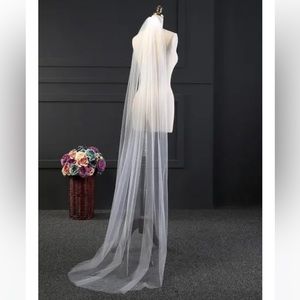 Chapel Length Ivory Veil